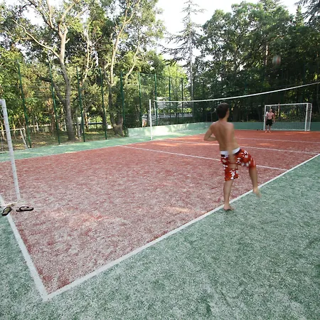 Sh Dolce Golden Sands