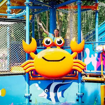 Sh Dolce Золотые Пески